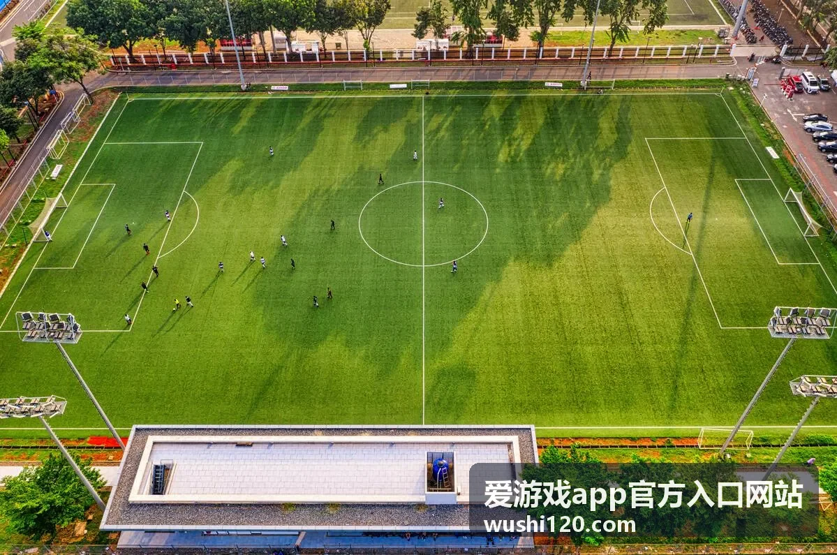 爱游戏app官方入口网站账号安全与帮助配图