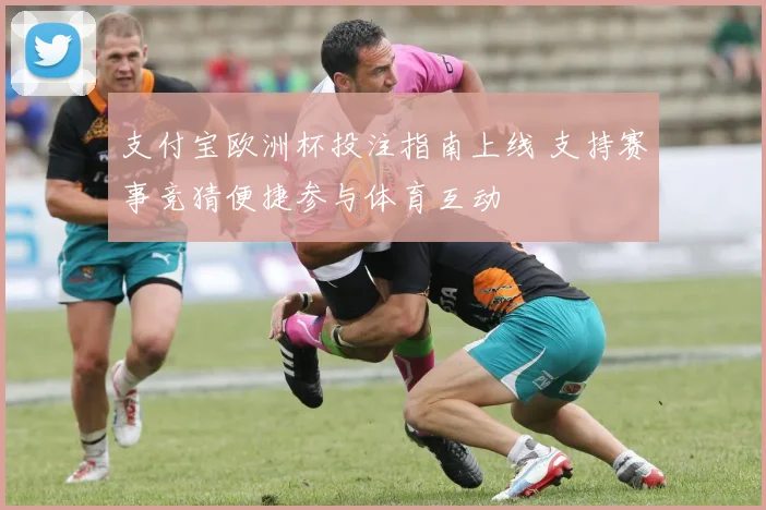 支付宝欧洲杯投注指南上线 支持赛事竞猜便捷参与体育互动