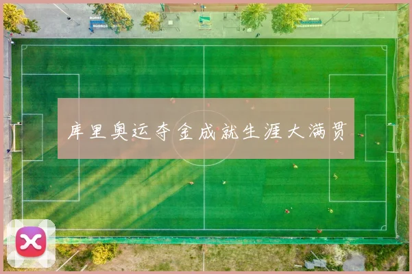 库里奥运夺金成就生涯大满贯