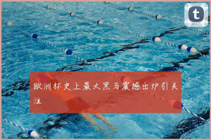 欧洲杯史上最大黑马震撼出炉引关注