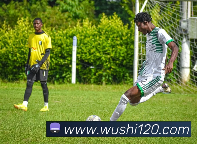 多媒体互动体验